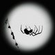 Illustration for article titled Orb web spiders become better fighters without their massive genitals